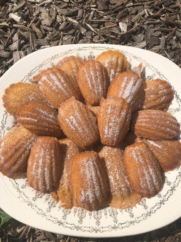 Apple Cider Madeleines
